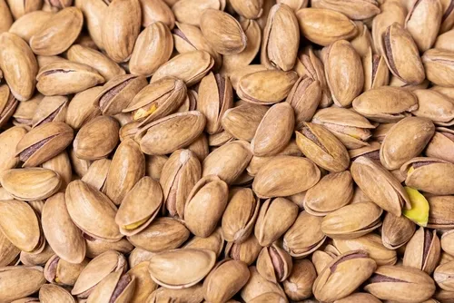 [21] ANTEP FISTIĞI ASKARA L.K 1