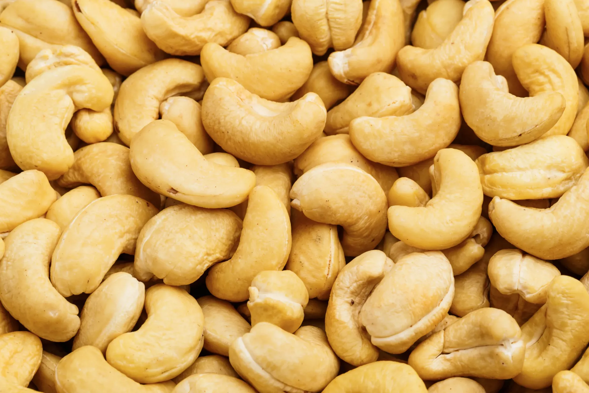 KAJU KAVRULMUŞ 320W